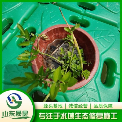 生态浮岛施工图6