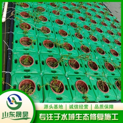 生态浮岛施工图7