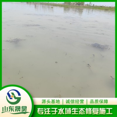狐尾藻种植图3