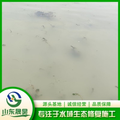狐尾藻种植图2