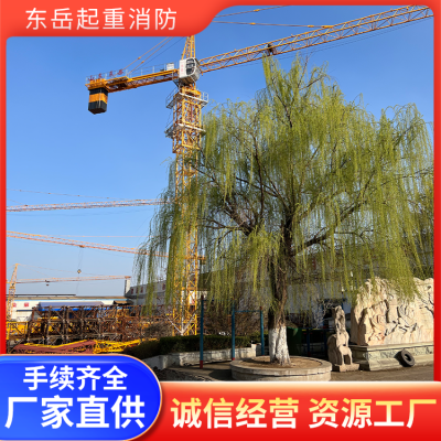 塔式起重机图4