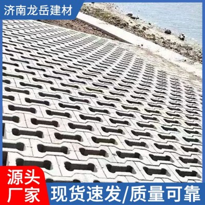 植草砖护坡砖系列图5