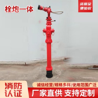 栓炮一体图2