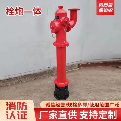 栓炮一体图3