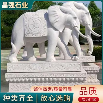 大小象图3