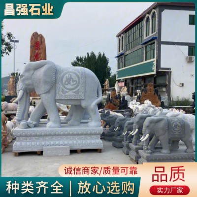 大小象图4