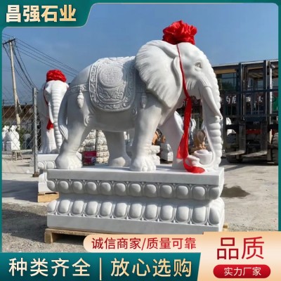 大小象图5