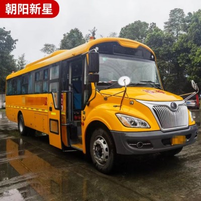 19座～56座中小学生校车  车型齐全 买车无忧图2