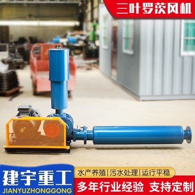 三叶罗茨风机图2