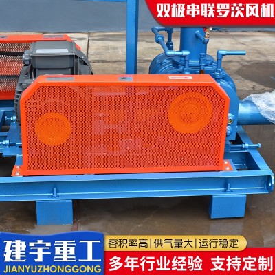 双极串联罗茨风机图4