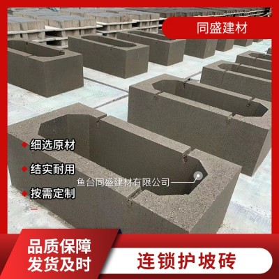 连锁护坡砖图2