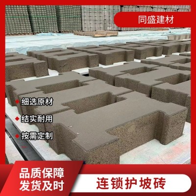 连锁护坡砖图4