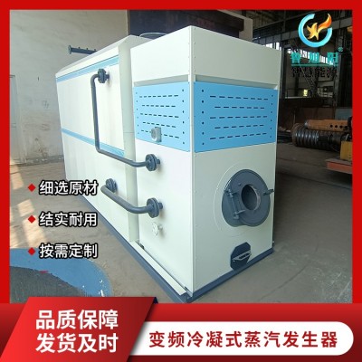 卧式生物质蒸汽发生器图2