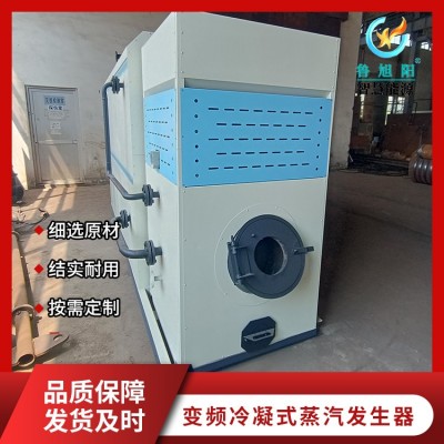 卧式生物质蒸汽发生器图3