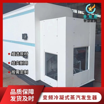 卧式生物质蒸汽发生器图4