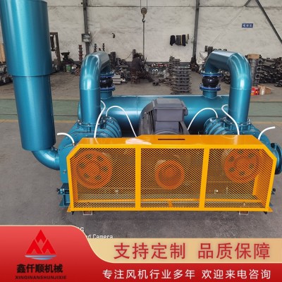 双级串联罗茨鼓风机图2