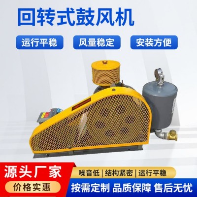 回转式鼓风机图2
