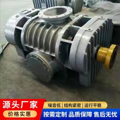 回转式鼓风机图8