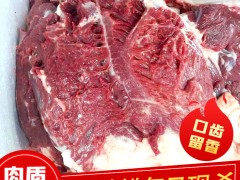 食用驴肉的历史