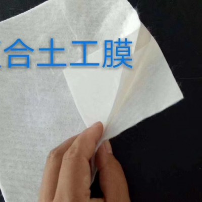 复合土工膜图3