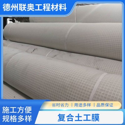 复合土工膜图3