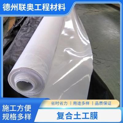 复合土工膜图2