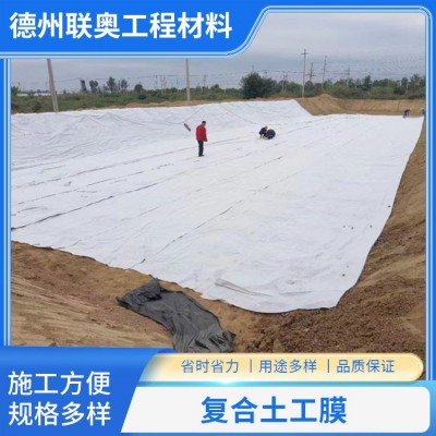 复合土工膜图5