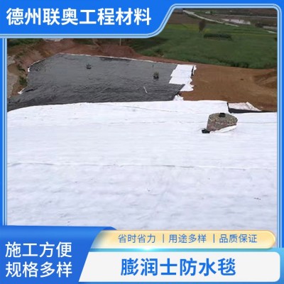 膨润土防水毯图3
